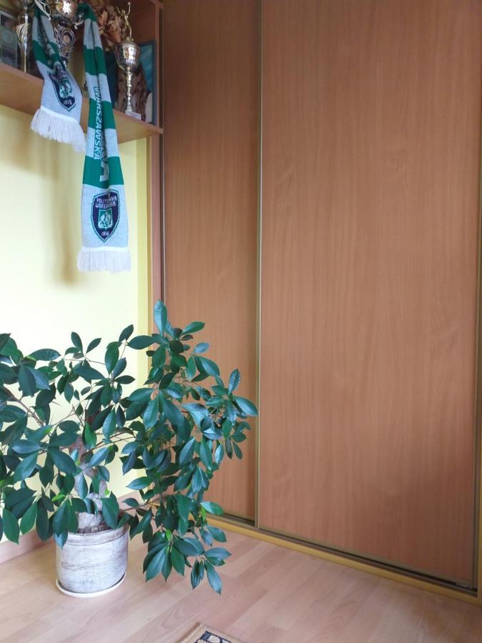 Domek Pod Przehyba - Pokoje Golkowice Dolne Ngoại thất bức ảnh